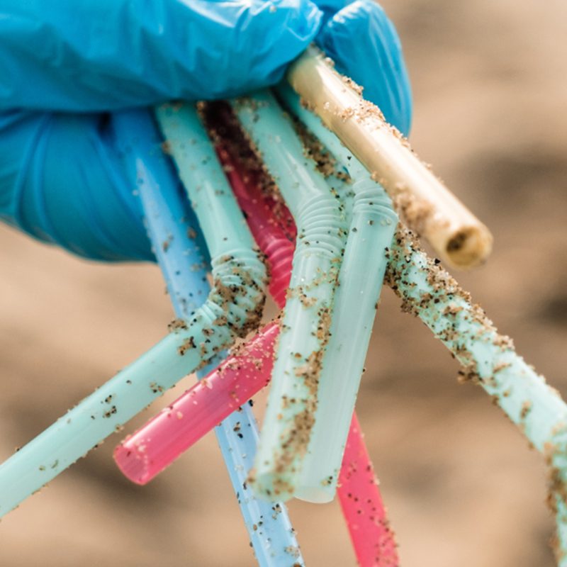 person holding straws that were found on the beach person holding straws