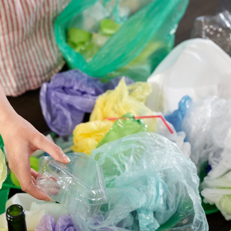 woman sorting plastic woman sorting plastic