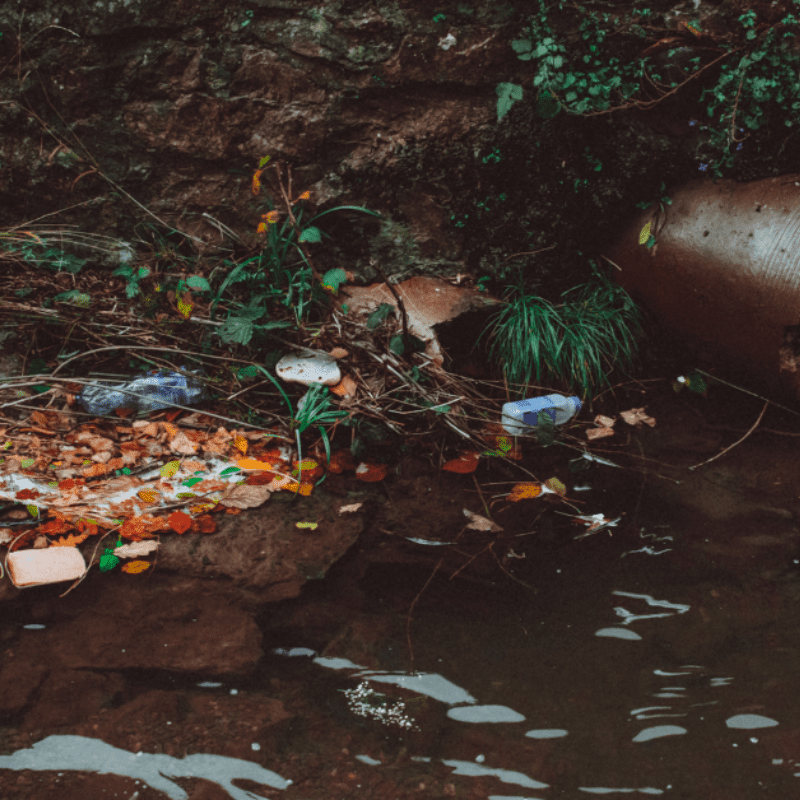 problematic plastic items on aquatic ecosystem problematic plastic items on aquatic ecosystem