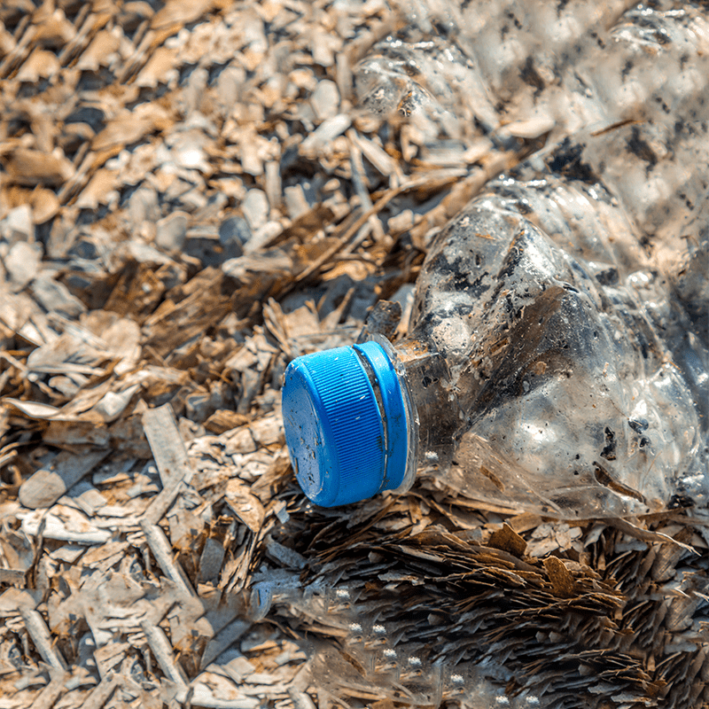 discarded plastic bottle on beach