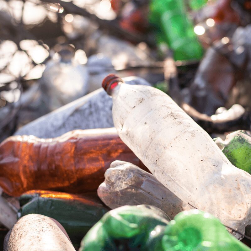 plastic bottle litter in the environment