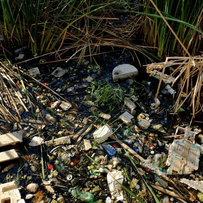 plastic pollution floating in a river bed