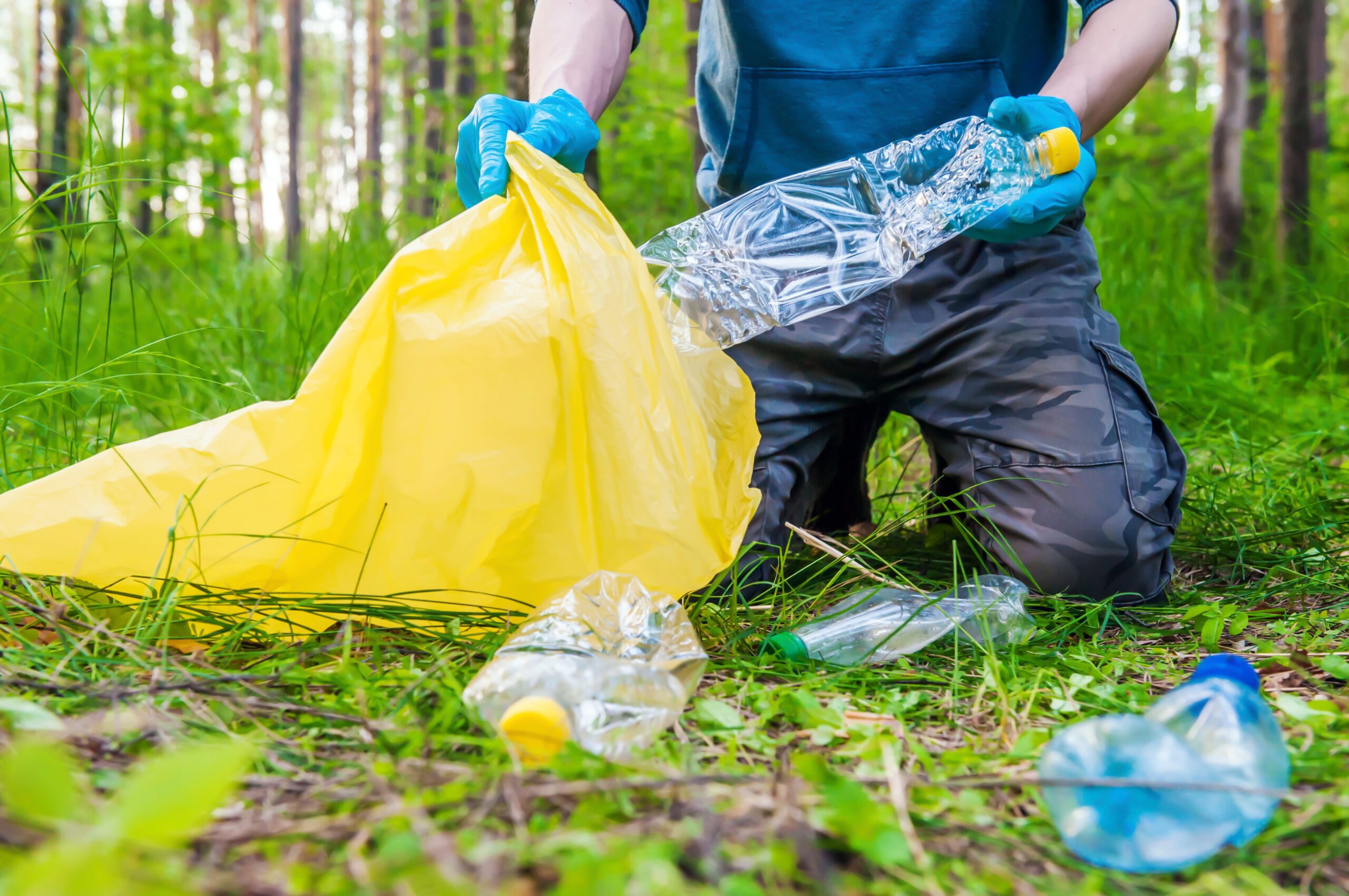 a-man-cleans-up-plastic-garbage-in-the-forest-in-t-2023-11-27-05-00-58-utc man cleaning up plastic pollution in forest